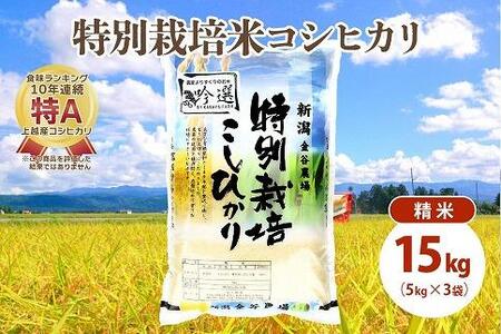 令和5年産|新潟上越三和産|特別栽培米コシヒカリ(従来種)15kg(5kg×3)精米