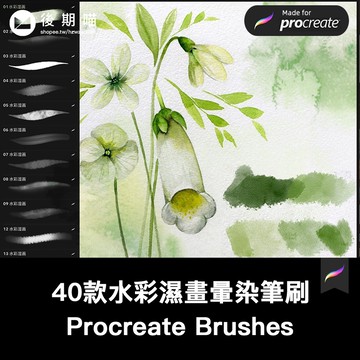 procreate筆刷水彩濕畫水潤淡彩暈染淡墨厚塗水墨手繪插畫水痕