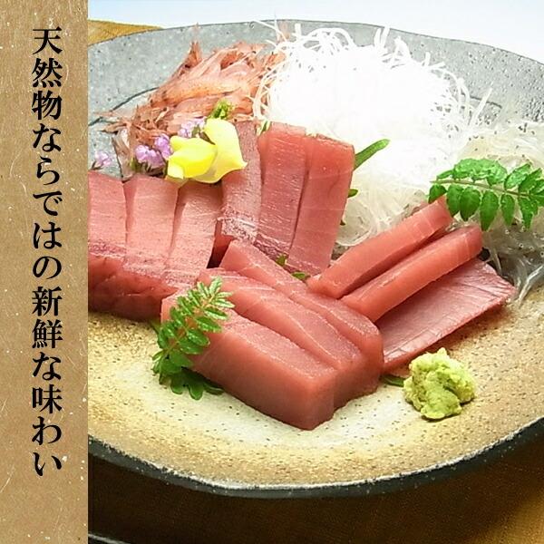 送料無料　メバチマグロ赤身 8人前 お歳暮  年末年始 冬ギフト 贈答用 海鮮 ごちそう グルメ