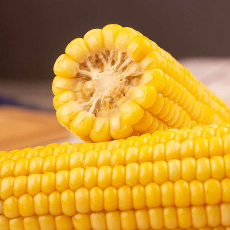 双葉黄糯玉米非転基因 緑色有機 0添加 モチとうもろこし 軸付き黄糯玉米 20本