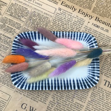 優波羅花 兔尾乾燥花系列 台灣樂天市場 Line購物