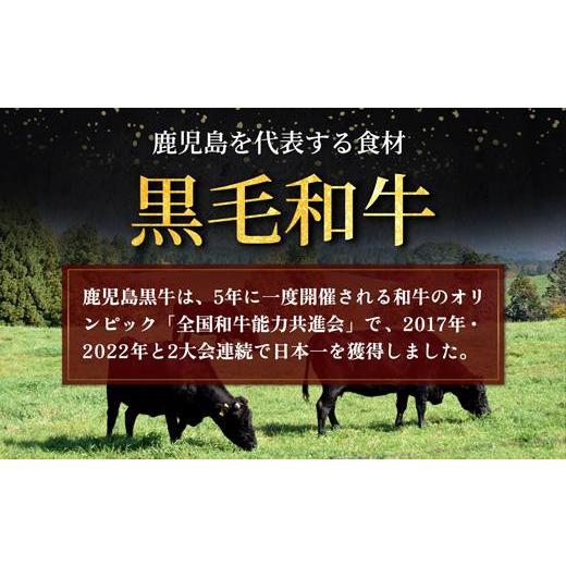 ふるさと納税 鹿児島県 大崎町 鹿児島黒牛セット（すきやき）500ｇ／1パック