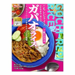 送料無料 ハウス ごちレピライス ガパオライス120g×1ケース（全60本）