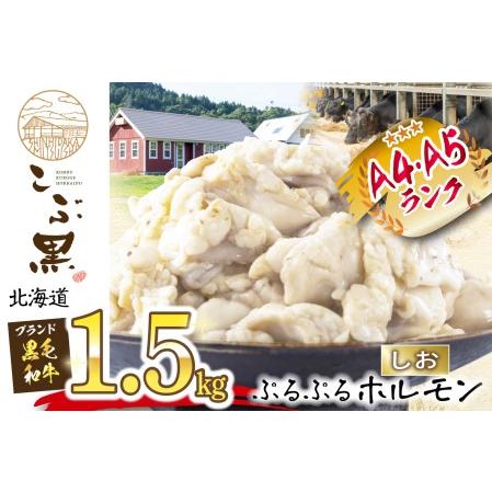 ふるさと納税 北海道産 黒毛和牛 こぶ黒 和牛 しお ホルモン 計 1.5kg (300g×5パック)  北海道新ひだか町