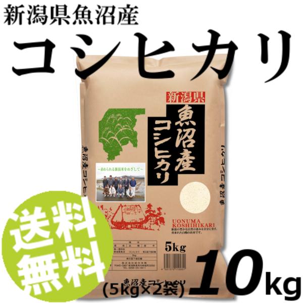 お米 10kg 白米 コシヒカリ 魚沼産 精白米 5kg×2袋 送料無料 贈答品 お取り寄せ