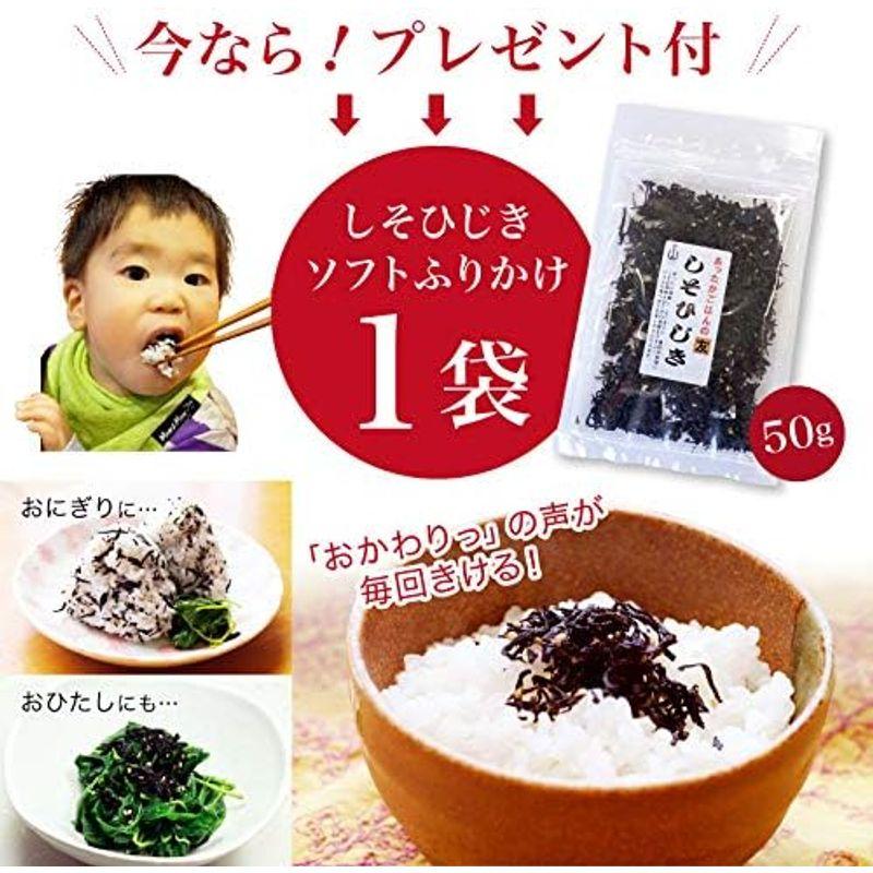 いくら醤油漬け 北海道産 500g （250ｇ×2パック） 笹谷商店 しそひじき ふりかけ 付き冷凍 越前宝や