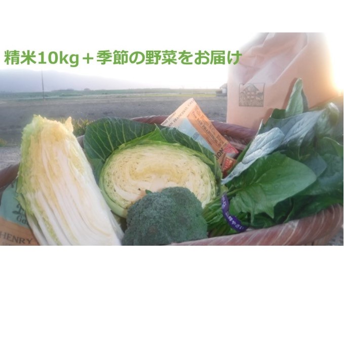 米 10kg 季節野菜 セット 精米 ゆめつくし