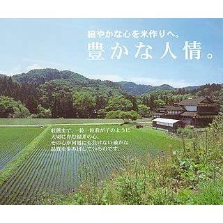 新米 令和5年産 福井産コシヒカリ 5kg 福井県 こしひかり (玄米のまま（5kg）)