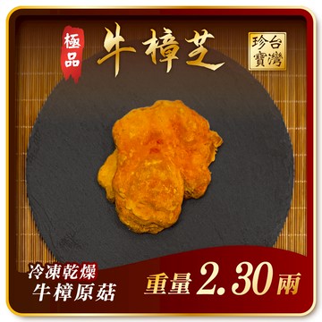 寶芝靈極品嚴選｜牛樟椴木子實體（冷凍乾燥牛樟菇20000以上品級）約2.30兩