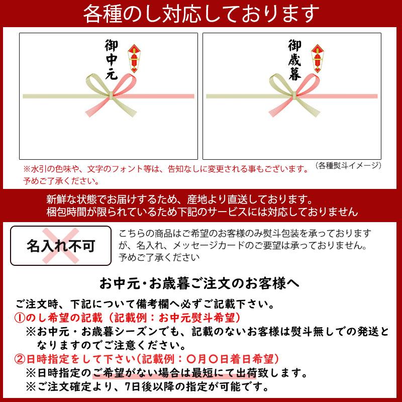 気仙沼産ふかひれスープCセット 濃縮タイプふかひれスープ 250g 濃縮タイプふかひれスープ（貝柱入）250g 各×3個 遠藤商店