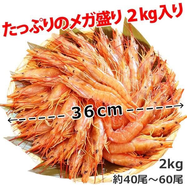 有頭赤えび2kg　送料無料 新鮮船上凍結(50尾前後)