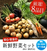 安心・安全の熊本県御船町産 厳選8品目 安心・安全の新鮮野菜セット 《30日以内に順次出荷(土日祝除く)》