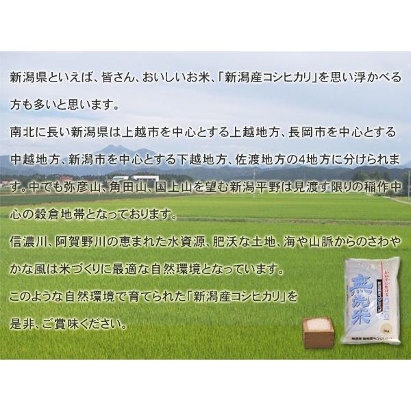 令和5年産 2023年度産 新米 新潟県産 コシヒカリ ふるさと名物商品 無洗米 10kg (5kg×2個) 代引不可 同梱不可