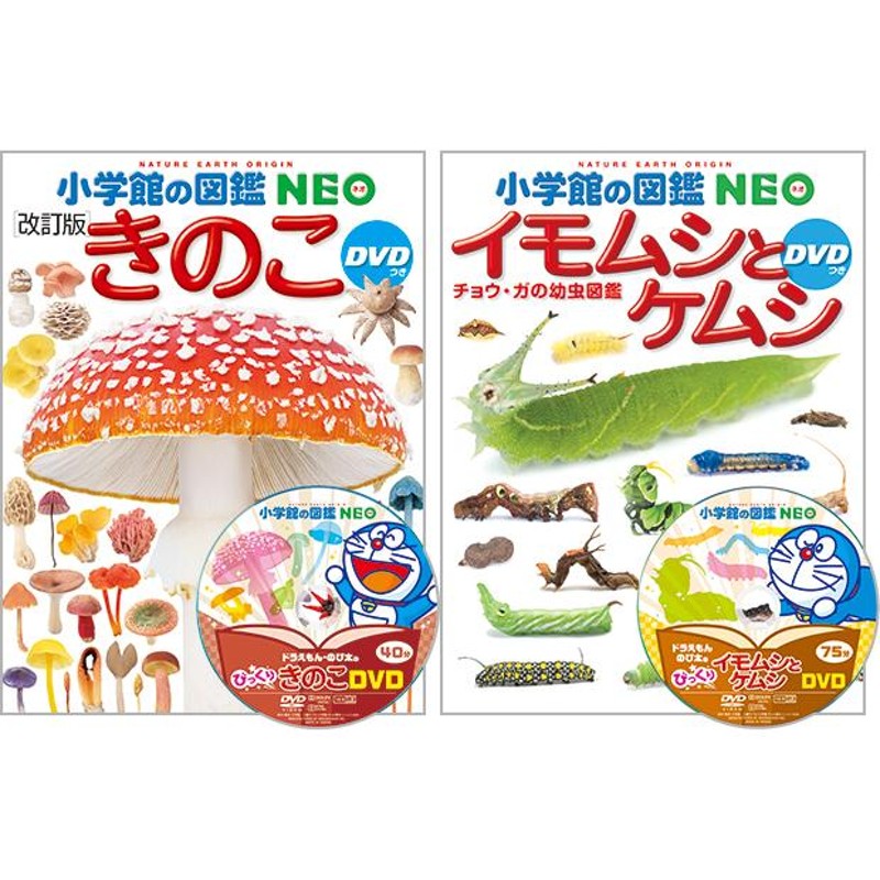 選べる 小学館の図鑑NEO 専用BOX付5冊セット 25種類から選べます 新刊 