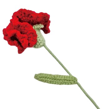 【NY Flower 紐約花藝】 LOVE MOM 康乃馨編織花永生花 - 紅色 (贈送10ml精油)