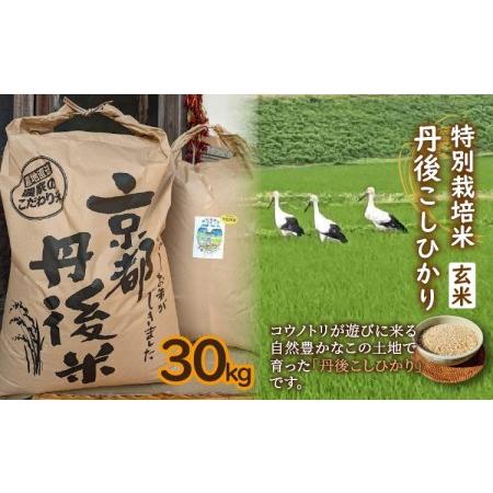 ふるさと納税 特別栽培米 令和5年産 丹後こしひかり 玄米30Kg 京都府京丹後市