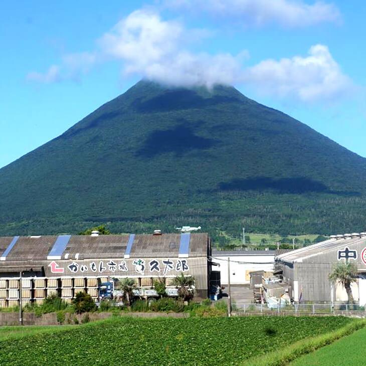 厳選こだわりのお漬物詰合わせ 6種類セット 鹿児島 漬け物 つけもの 鹿児島 漬物 送料無料 鹿児島土産 土産 お土産 みやげ お取り寄せ 取り寄せ …