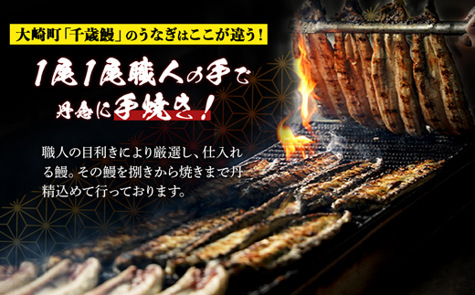 鹿児島県大隅産 千歳鰻の白焼5尾・蒲焼き5尾