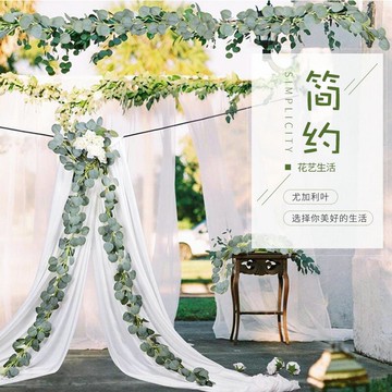 仿真尤加利藤條2米加密圓葉金錢葉桉樹葉婚禮裝飾假花藤條壁掛