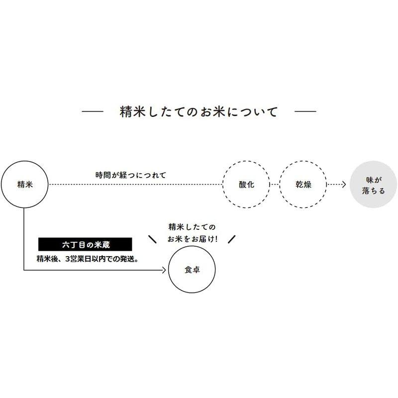 ［六丁目の米蔵］ 無洗米 10kg ラクしても美味しさそのまま 出荷直前精米 お米マイスター厳選 令和4年産