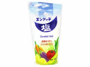  食塩 450g ｘ5  個_10セット