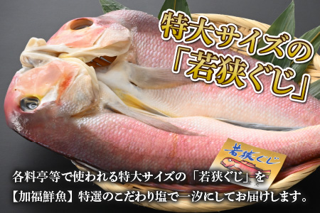 若狭ぐじ 一汐開き 1尾 800g　甘鯛 タイ アカアマダイ 焼き魚 高級[C-015003]