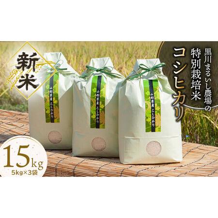 ふるさと納税 B25-001新米 黒川まるいし農場の特別栽培米コシヒカリ１5kg 山形県鶴岡市