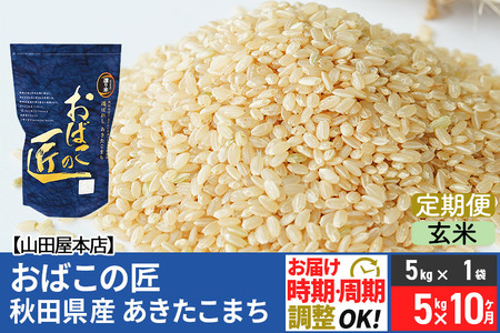 《定期便10ヶ月》令和5年産 おばこの匠 秋田県産あきたこまち 5kg×10回 計50kg 10か月 10ヵ月 10カ月 10ケ月 秋田こまち お米