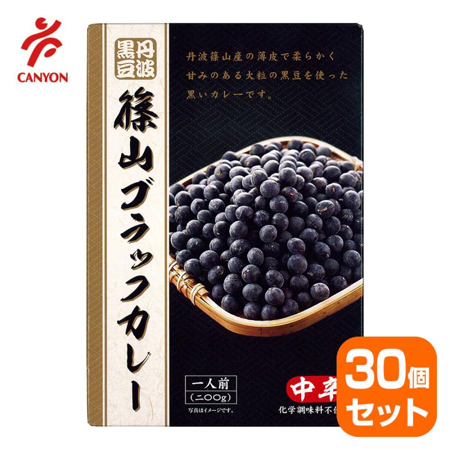 篠山ブラックカレー 200g 中辛