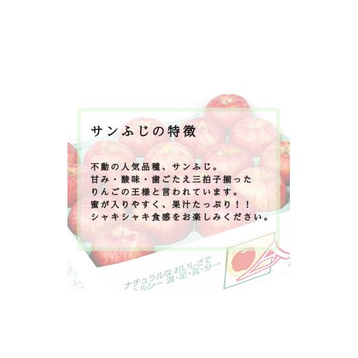 ふるさと納税 秋田県 鹿角市 りんご「サンふじ」家庭用 13〜20玉（約5kg）●2023年11月中旬発送開始　林檎 りんご リンゴ 国産 東北 …