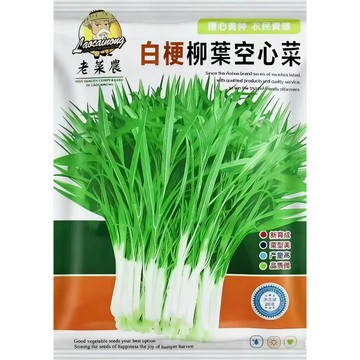 【 原裝正品 】台灣四季白梗空心菜種子現貨速發 家庭菜園 陽台盆栽 耐熱快收 白莧種 通用蔬菜 自種安心 食用安全