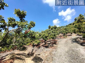 ⛳霧峰近國6臨象鼻路老欉龍眼園狀元寶地｜台中市霧峰區萬斗六段