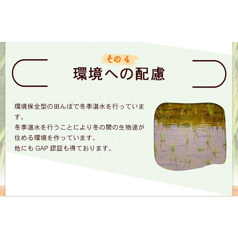 米 2kg コシヒカリ 「稲藁米」特別栽培米 減農薬（農薬使用量5割以上削減）令和5年福井県産 送料無料