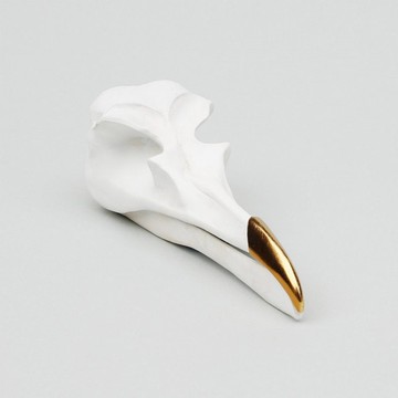 英國SUCK UK 鳥頭骨骸飾品收納擺飾