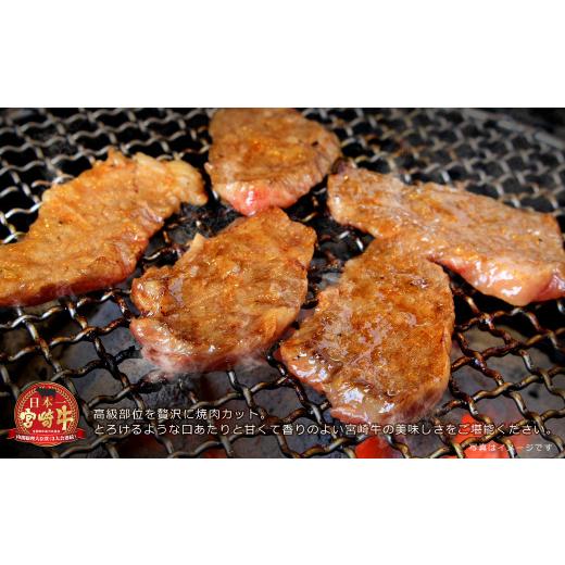 ふるさと納税 宮崎県 新富町 ＜宮崎牛＞リブロース焼肉 900g