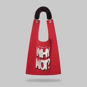 WHY NOT? Toby Bag | 配可拆仿毛肩帶