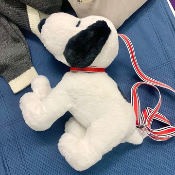 Snoopy 史努比玩偶提袋 史奴比側背包包