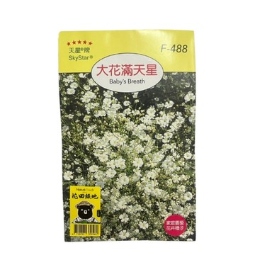 【向花緣】天星牌 大花滿天星 - 花卉種子