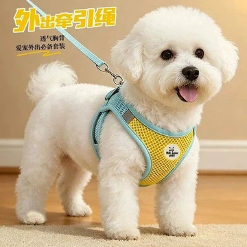 💕在臺出貨🔥夏日透氣胸背牽引繩小型犬比熊犬泰迪博美小狗寵物揹帶外出牽引繩
