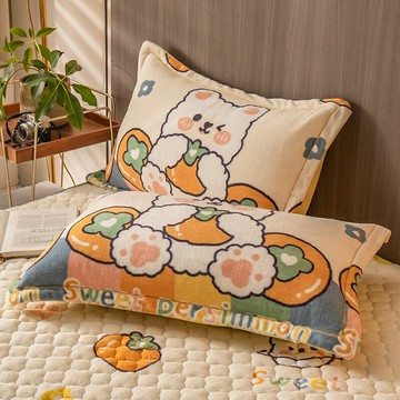 枕頭套 牛奶珊瑚絨枕套一對裝家用法蘭絨枕頭套單個兒童枕頭罩枕芯內膽套