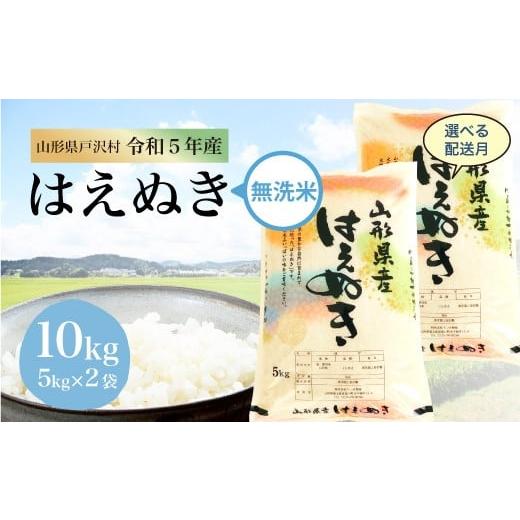 令和5年産 山形県戸沢村 厳選 はえぬき  10?（5kg×2袋） ＜配送時期指定可＞