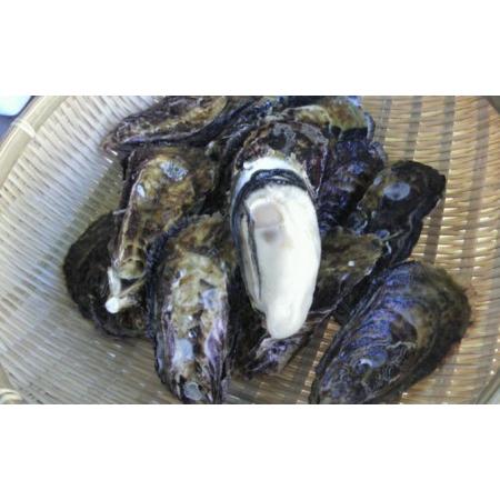 ふるさと納税 坂越かき 殻付き6個・むき身 (300g×2)セット（北海道・沖縄・離島への配送不可）[ 牡蠣 冬牡蠣 兵庫県赤穂市