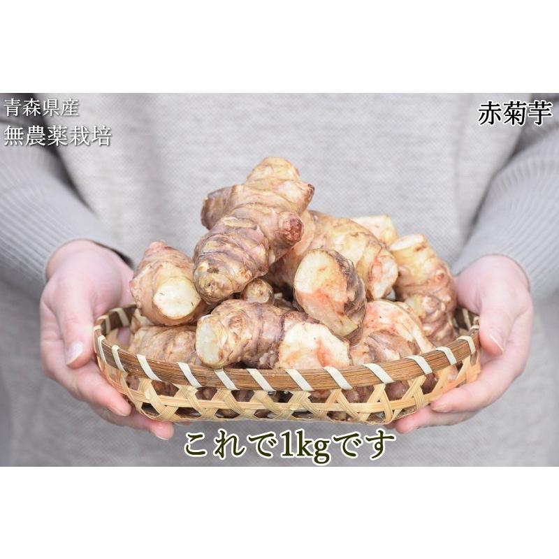 赤菊芋 菊芋 1kg 送料無料 無農薬栽培 化学肥料不使用 洗浄済み 訳あり 不揃い 青森県産 生菊芋 きくいも キクイモ 堀りたて イヌリン