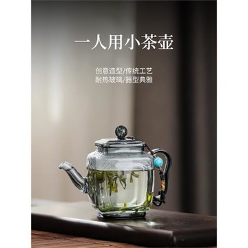 四方玻璃小茶壺單壺一人喝精致洱手抓壺功夫茶泡茶壺普高顏值高端