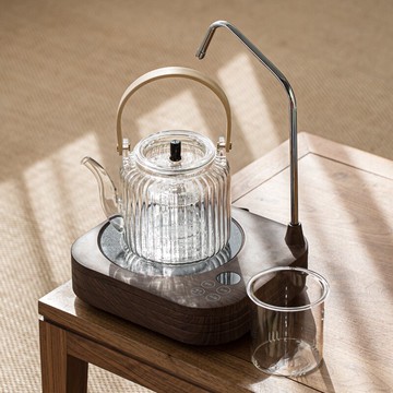 耐高溫玻璃煮茶壺茶水分離煮茶套裝小型小青柑專用提梁壺蒸煮雙用