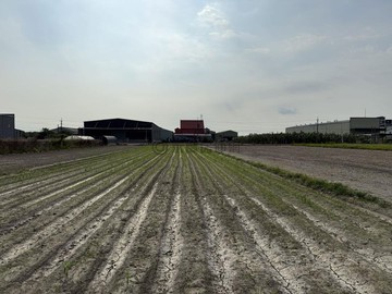 大寮翁公園段二小段方正都內優質農地｜高雄市大寮區翁公園段二小段