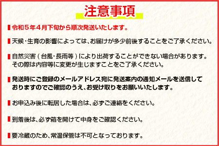 ≪数量限定≫日南市産完熟マンゴー(2L以上×2玉) フルーツ 果物 国産 令和6年発送分_BC62-23