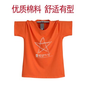加肥加大男士短袖T恤純棉寬松肥佬上衣外貿大碼胖子夏季半袖體恤