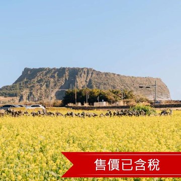 高雄_濟州岩岸鮑魚尋蹤．《我們的藍調時光》拍攝地加波島．探訪海女村．燙布提袋DIY．特色美食嚮宴．(一站購物彩妝)6日-26JKSPRCU1