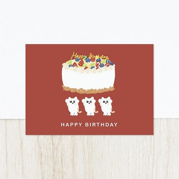 森蕗插畫 給你最讚的蛋糕款 可愛貓咪生日卡片 雙面明信片 生日快